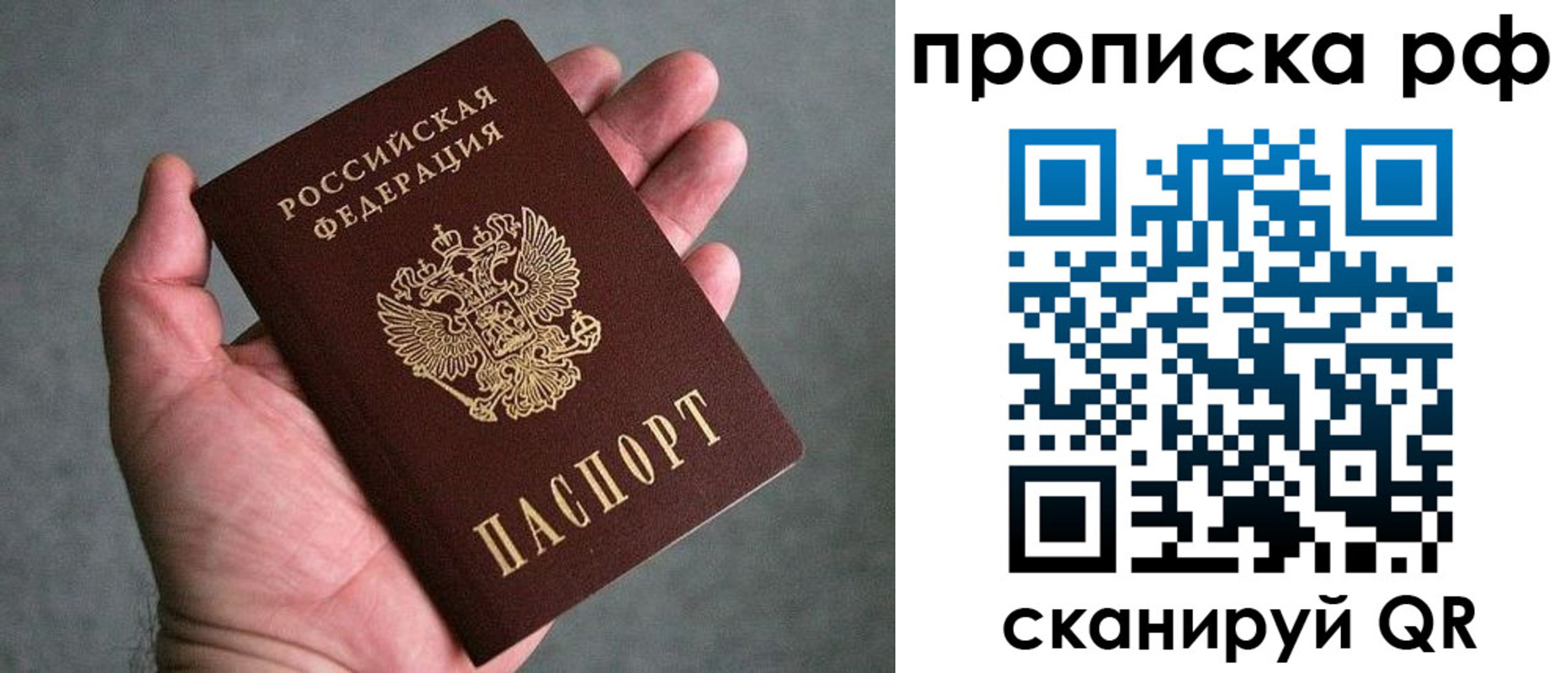 купить прописку в Владимирской области